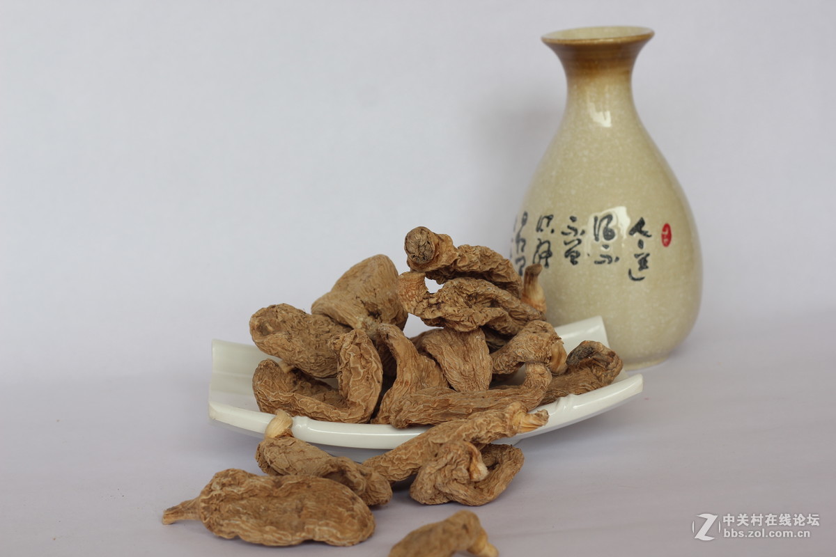 550D配小痰盂拍北川山珍