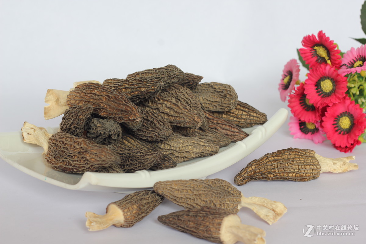 550D配小痰盂拍北川山珍