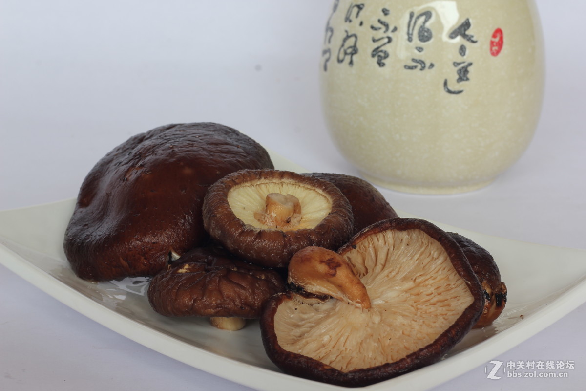 550D配小痰盂拍北川山珍