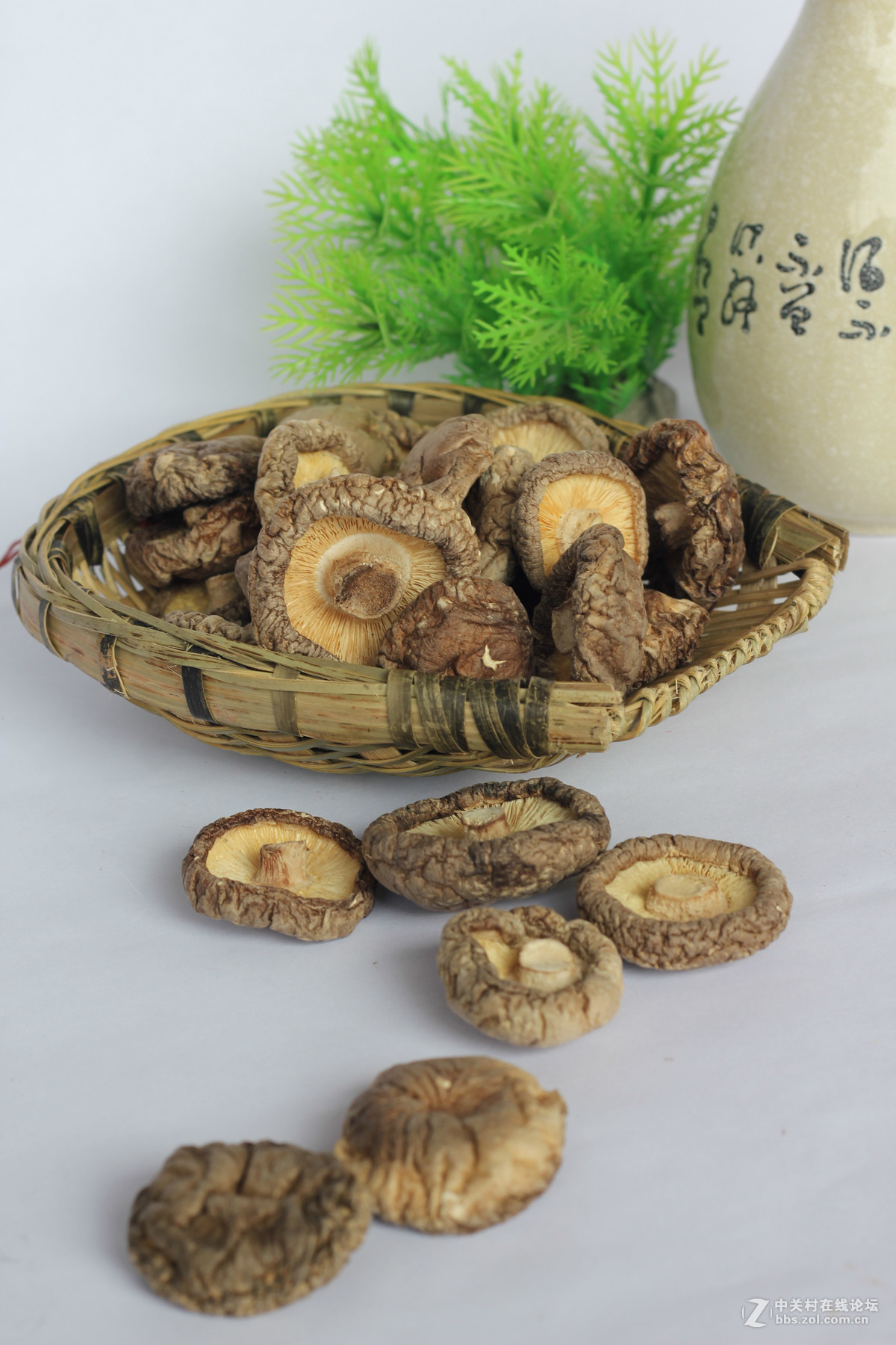 550D配小痰盂拍北川山珍