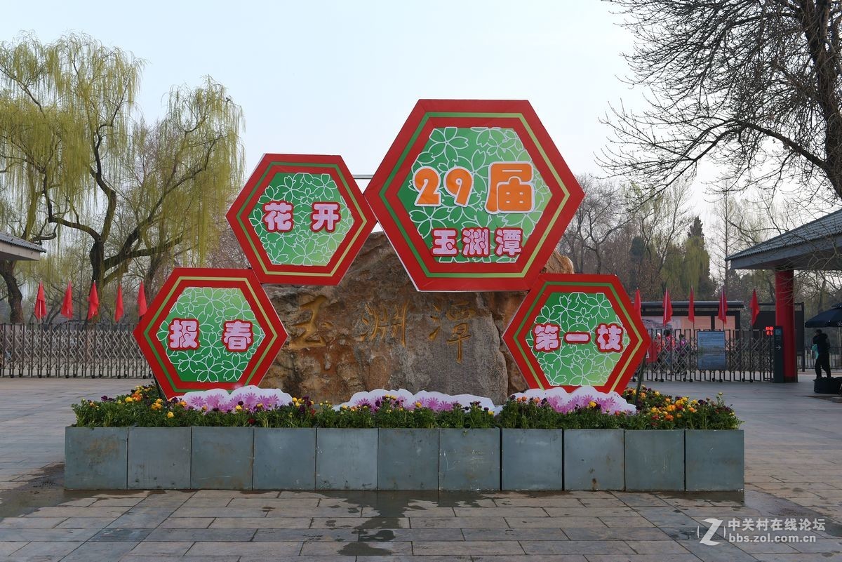 花开——玉渊潭（一）