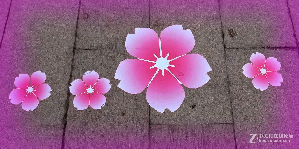 花开——玉渊潭（一）