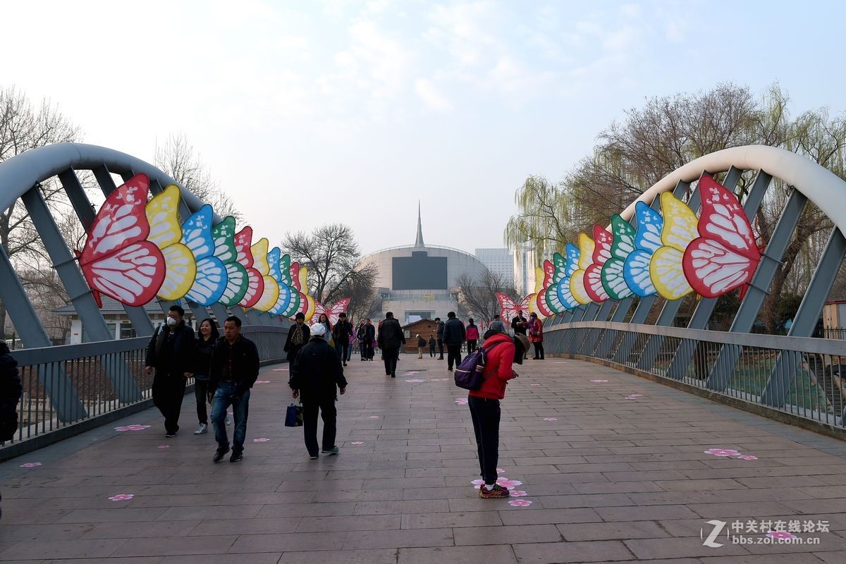 花开——玉渊潭（一）