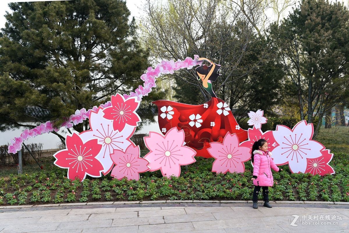 花开——玉渊潭（一）