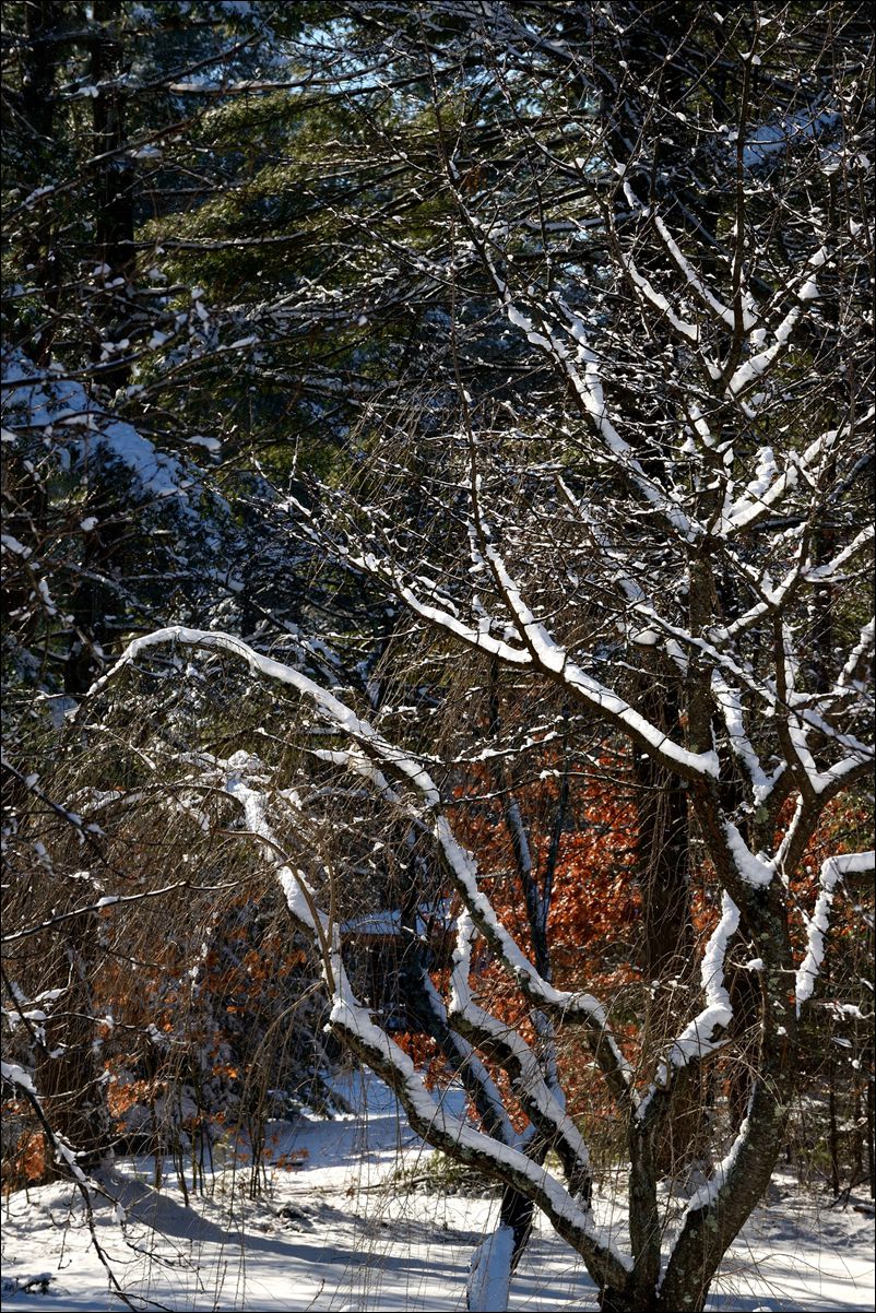 休闲随拍（383）