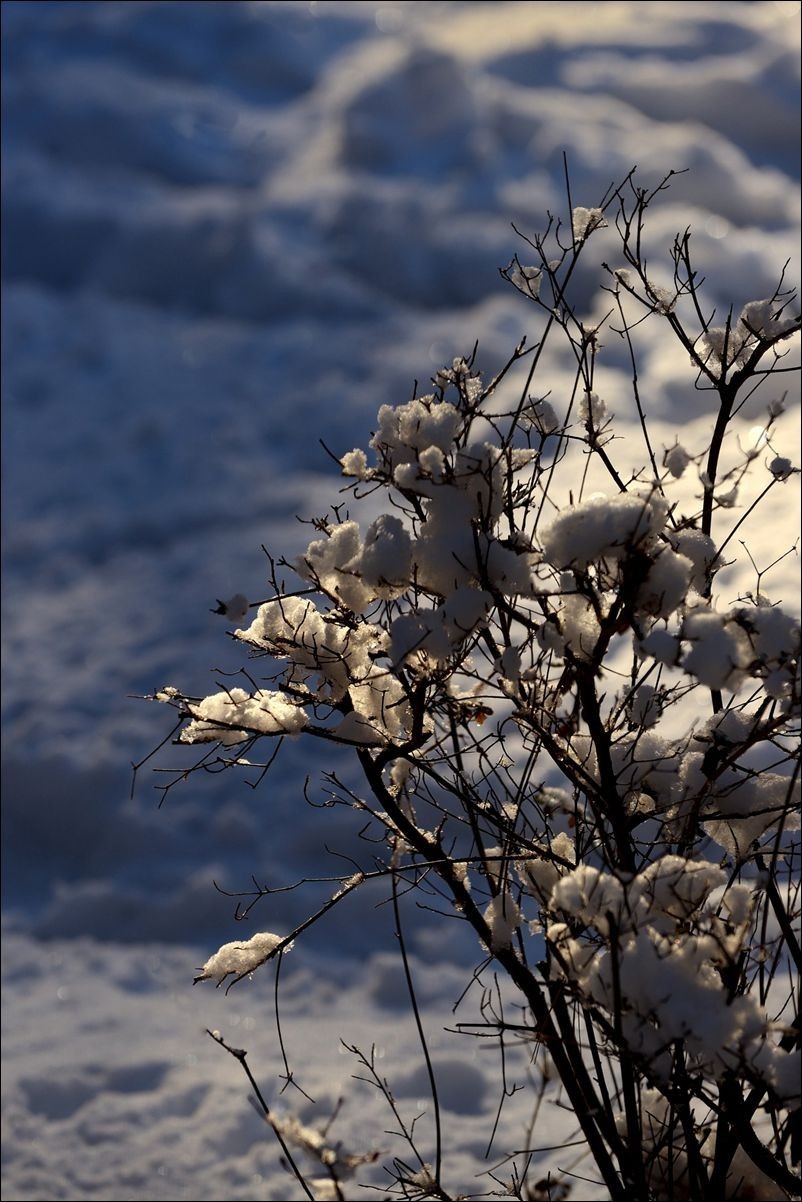 休闲随拍（383）