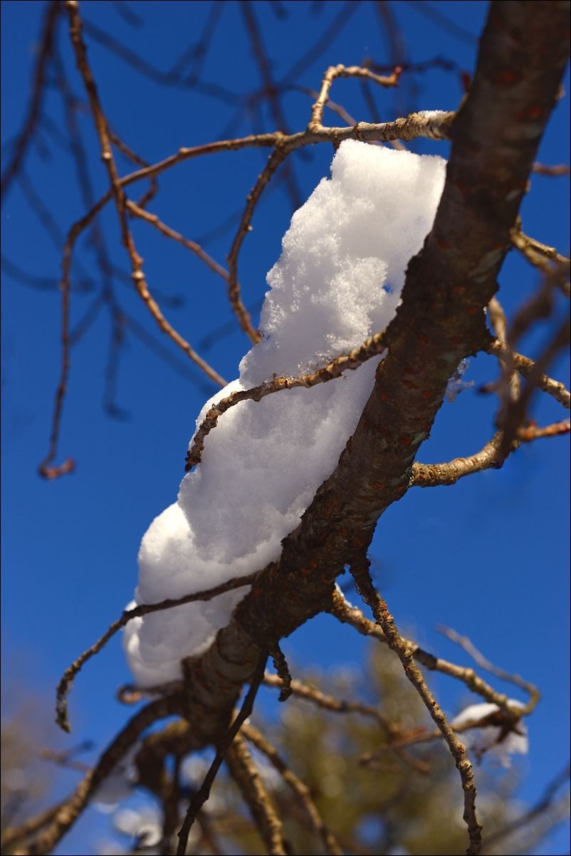 休闲随拍（383）