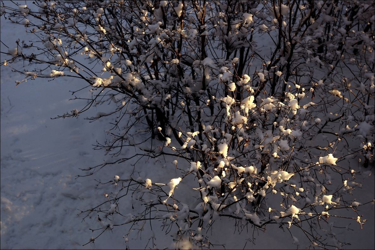 休闲随拍（383）