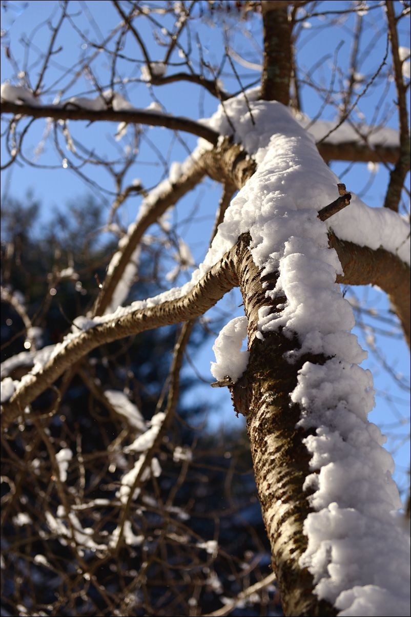 休闲随拍（383）