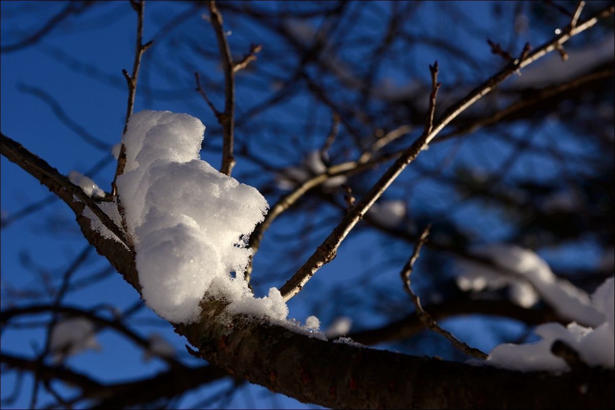 休闲随拍（383）