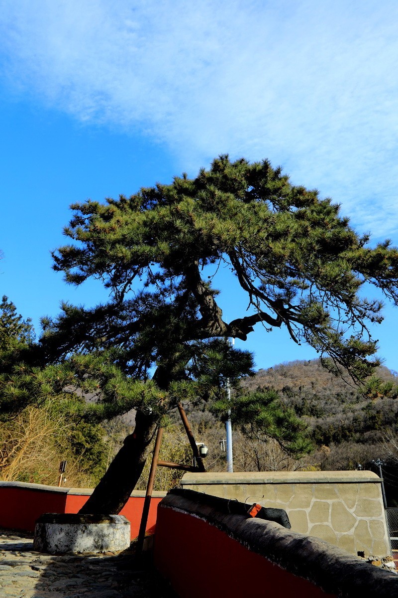 严冬潭柘寺风景