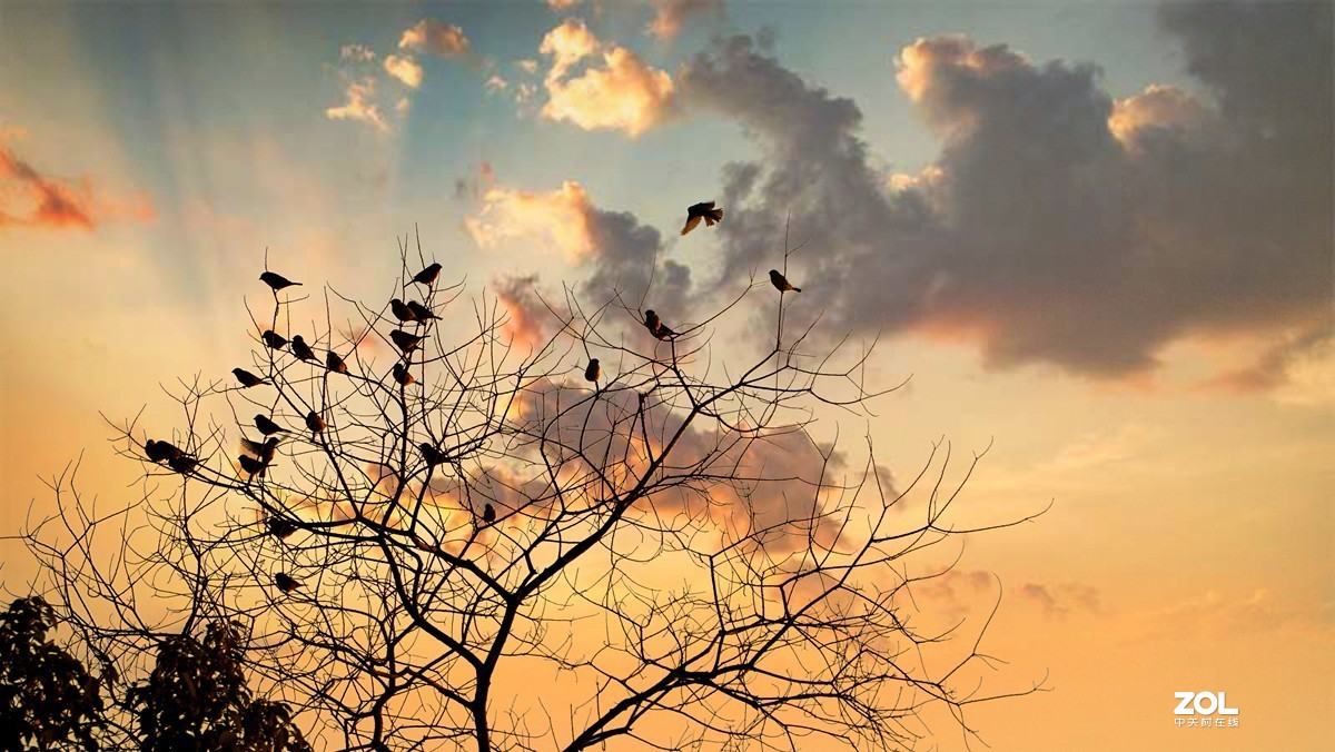 #回顾2019#平平淡淡过一年