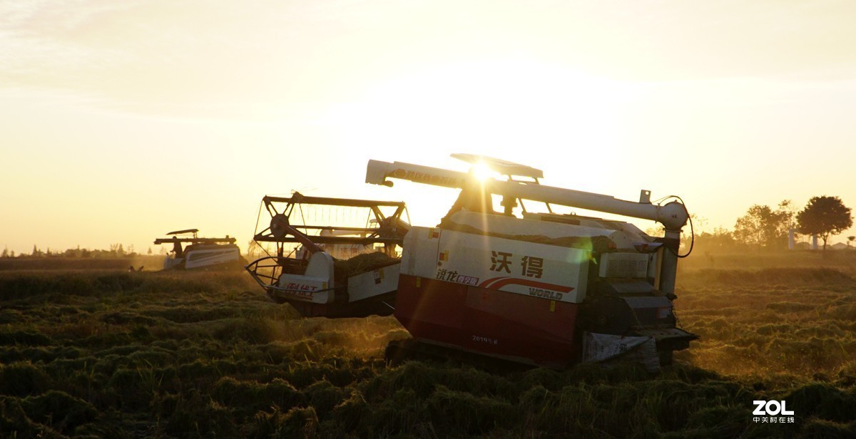 #回顾2019#平平淡淡过一年