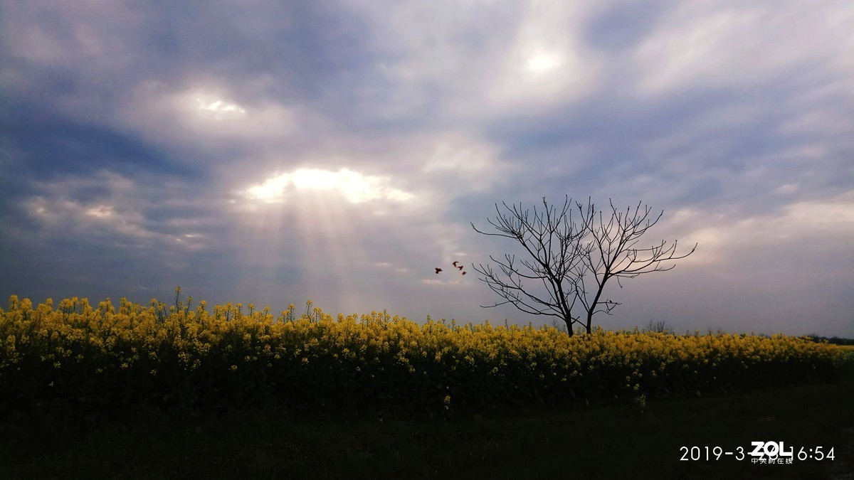 #回顾2019#平平淡淡过一年