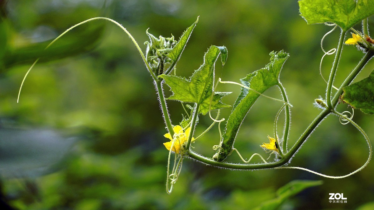 #回顾2019#平平淡淡过一年