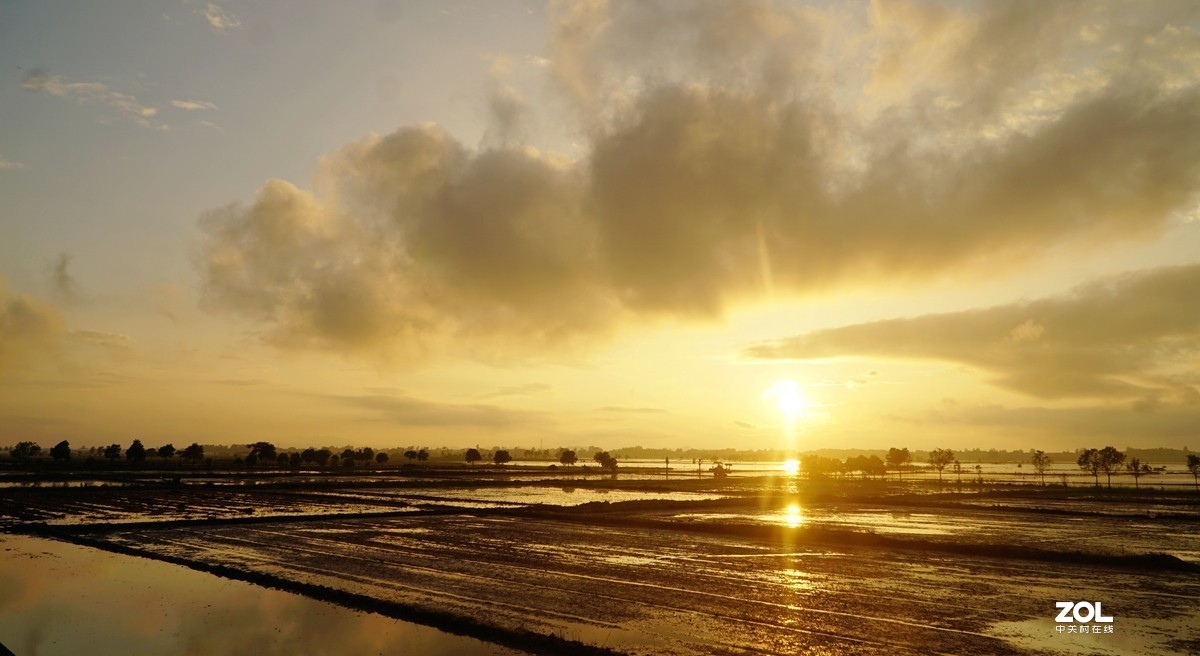#回顾2019#平平淡淡过一年