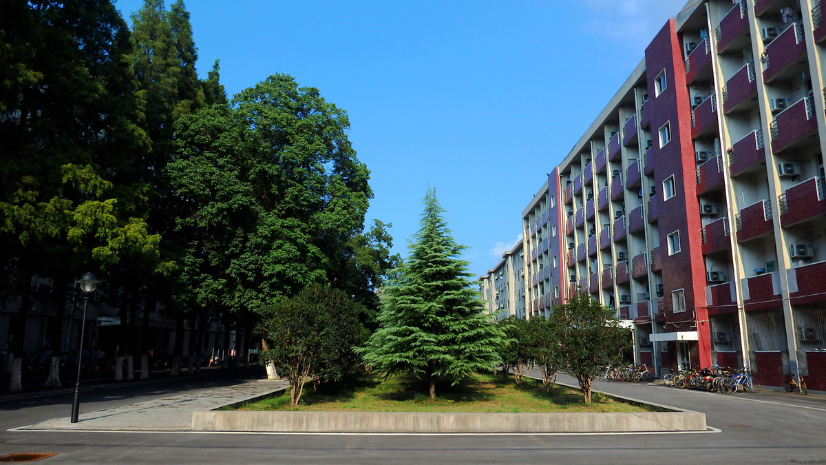 校園秋韻—合肥工業大學屯溪路校區(銷假帖)