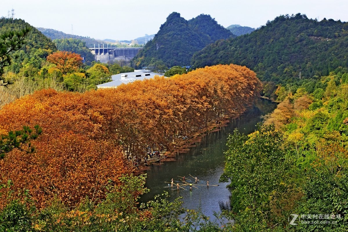 秋韵---------中关村在线摄影论坛