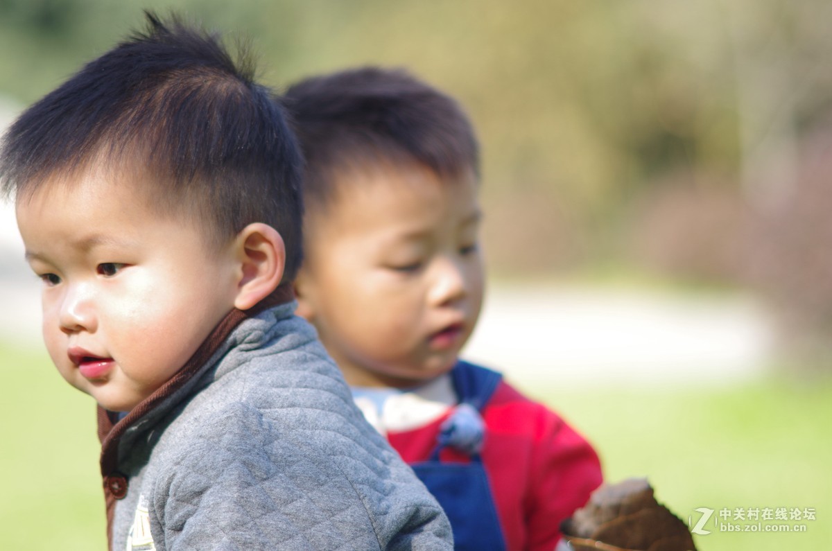 有40年历史，宾得老镜头拍摄，的照片，