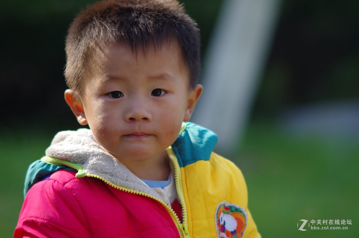 有40年历史，宾得老镜头拍摄，的照片，