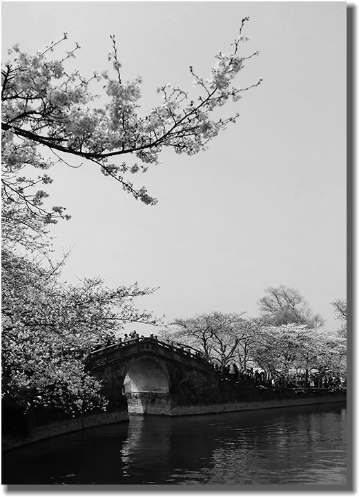 水岸闲游景怡人