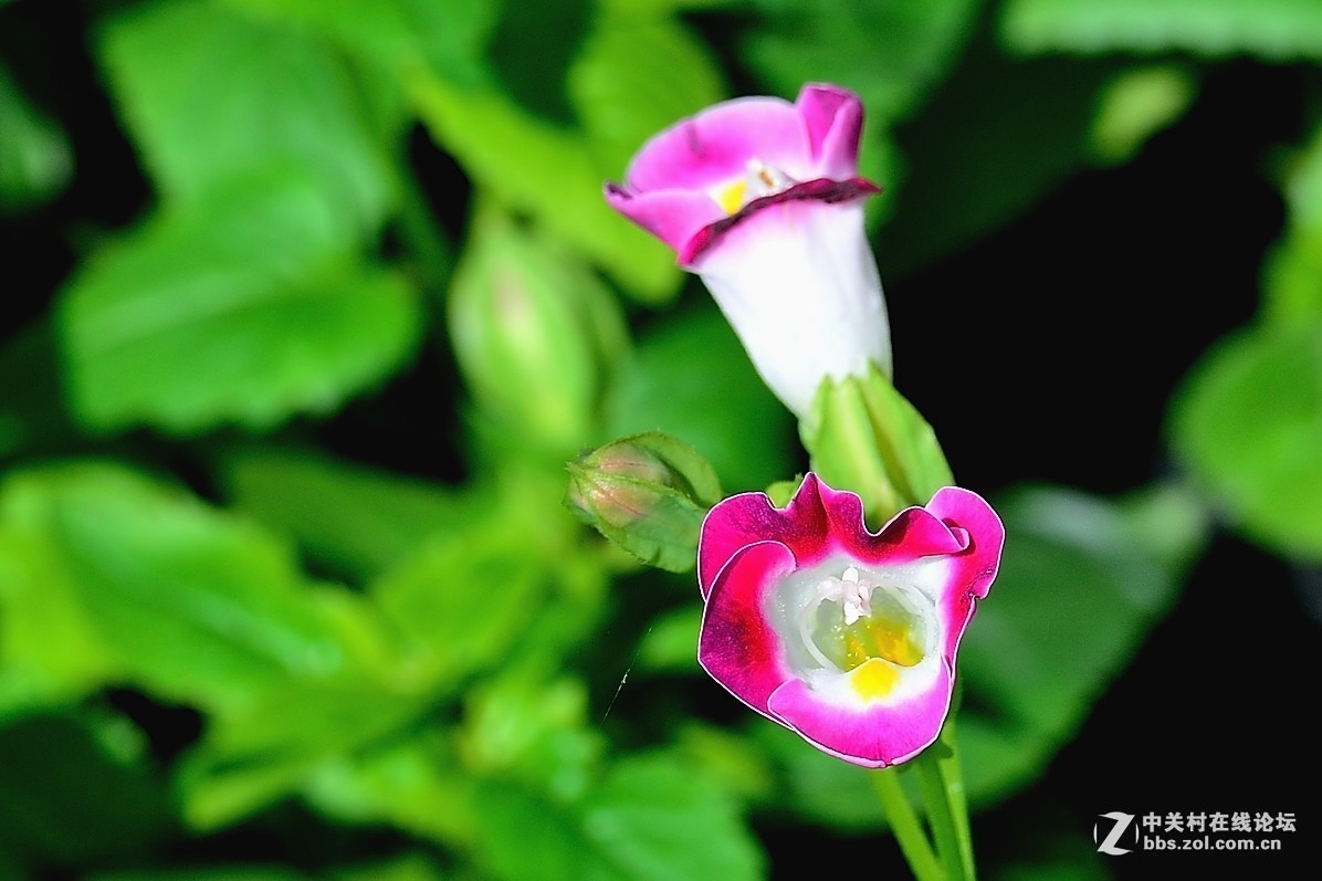 #版主坐堂#小五星空(中国)2017年9月精品荟萃