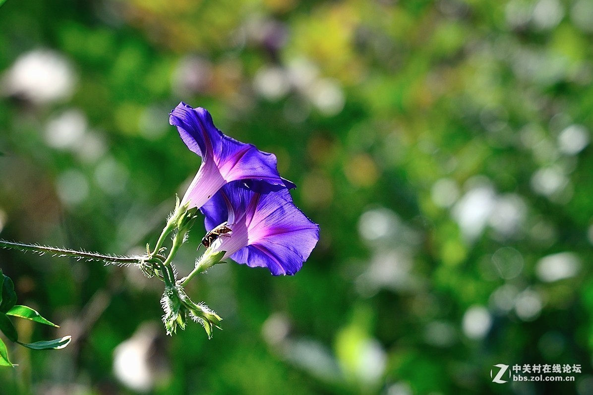 #版主坐堂#小五星空(中国)2017年9月精品荟萃