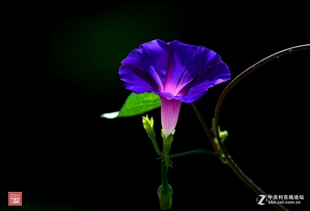 #版主坐堂#小五星空(中国)2017年9月精品荟萃