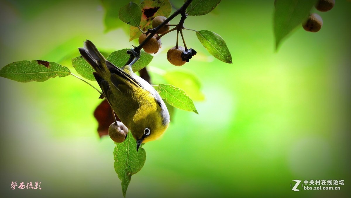 #版主坐堂#小五星空(中国)2017年9月精品荟萃