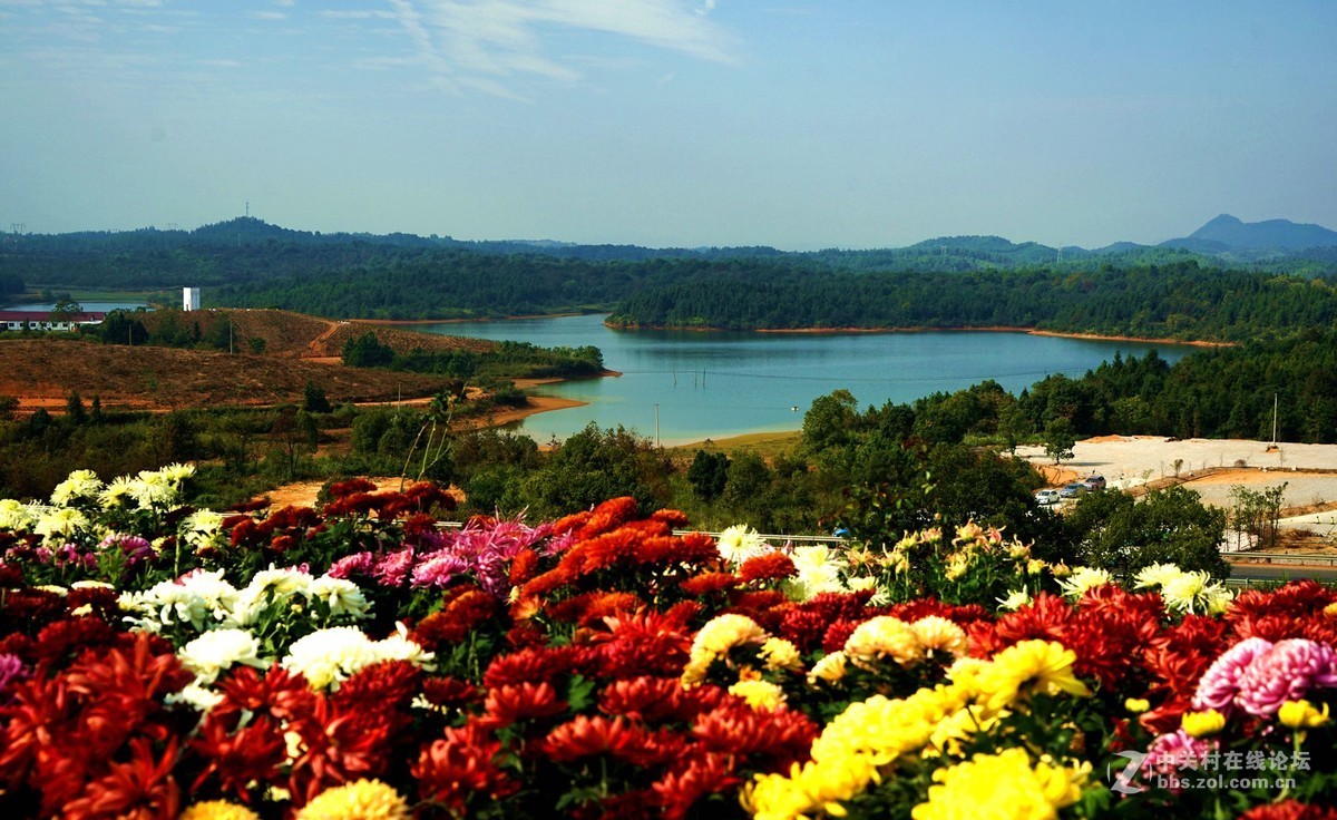 瑶山菊展一一踏遍青山人未老，风景这边独好。