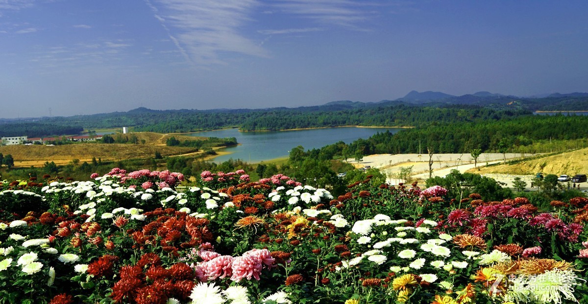 瑶山菊展一一踏遍青山人未老，风景这边独好。