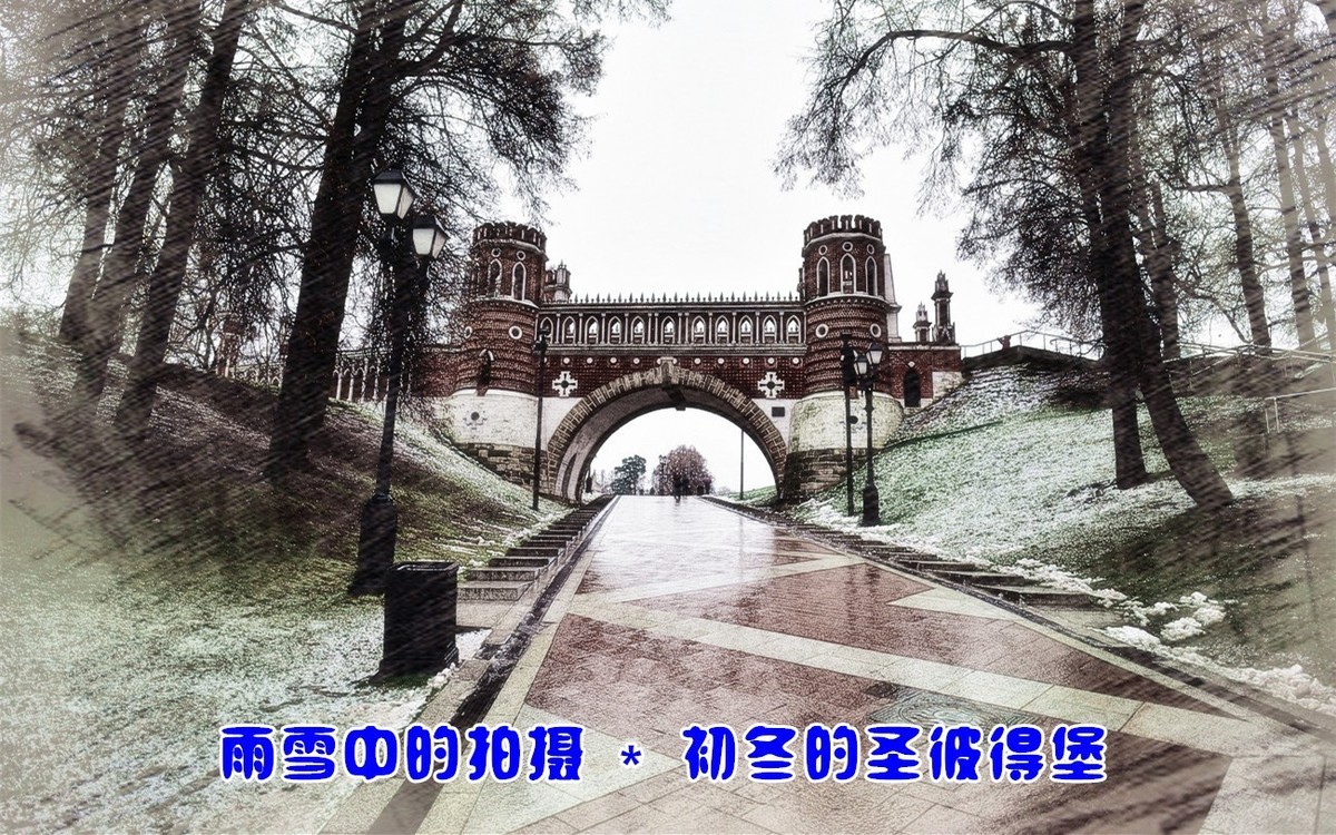 雨雪中的拍摄 · 初冬的圣彼得堡
