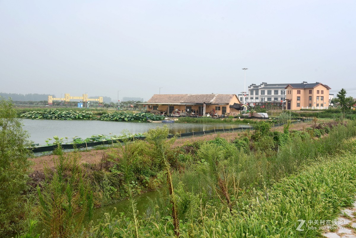 江苏沛县湖西农场观光园掠影