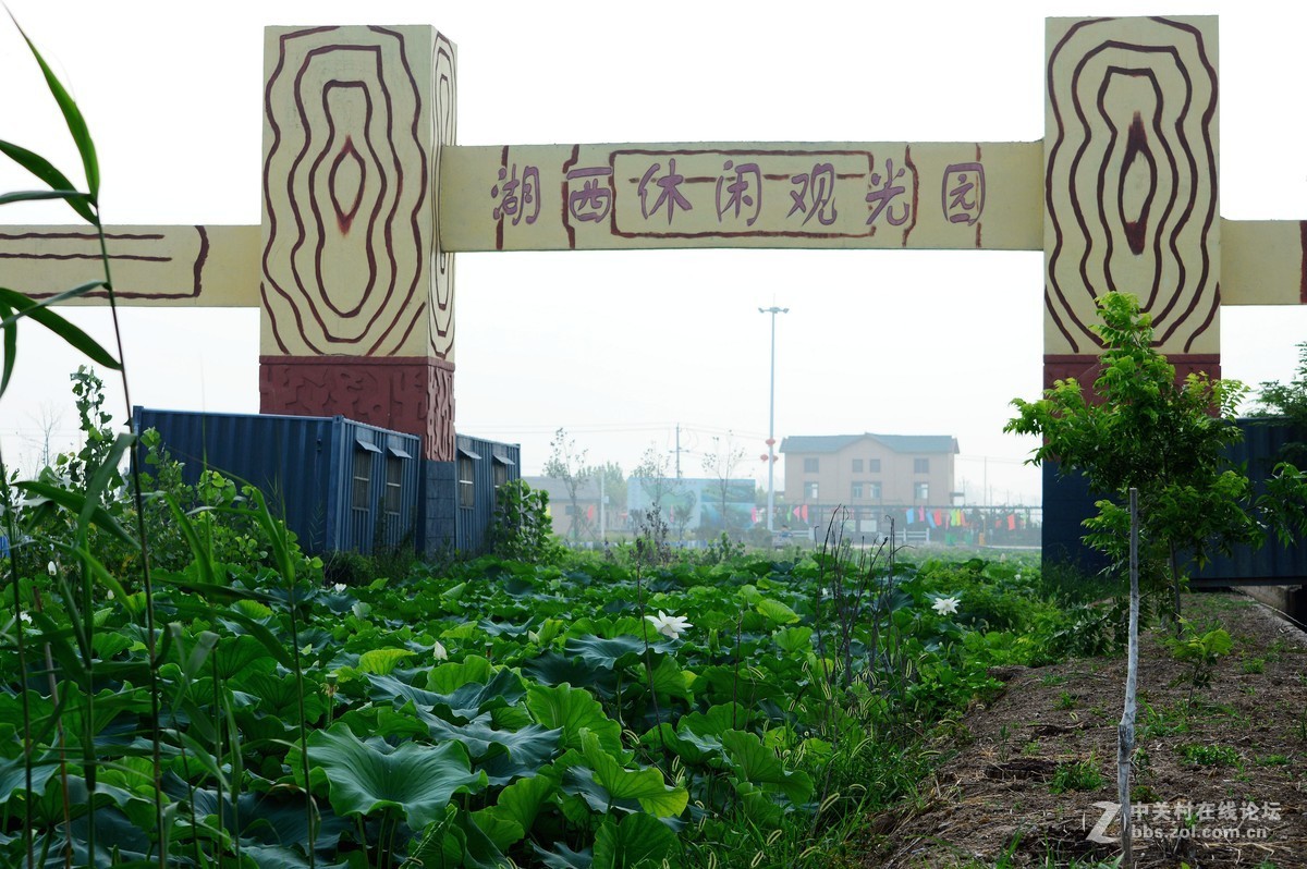 江苏沛县湖西农场观光园掠影