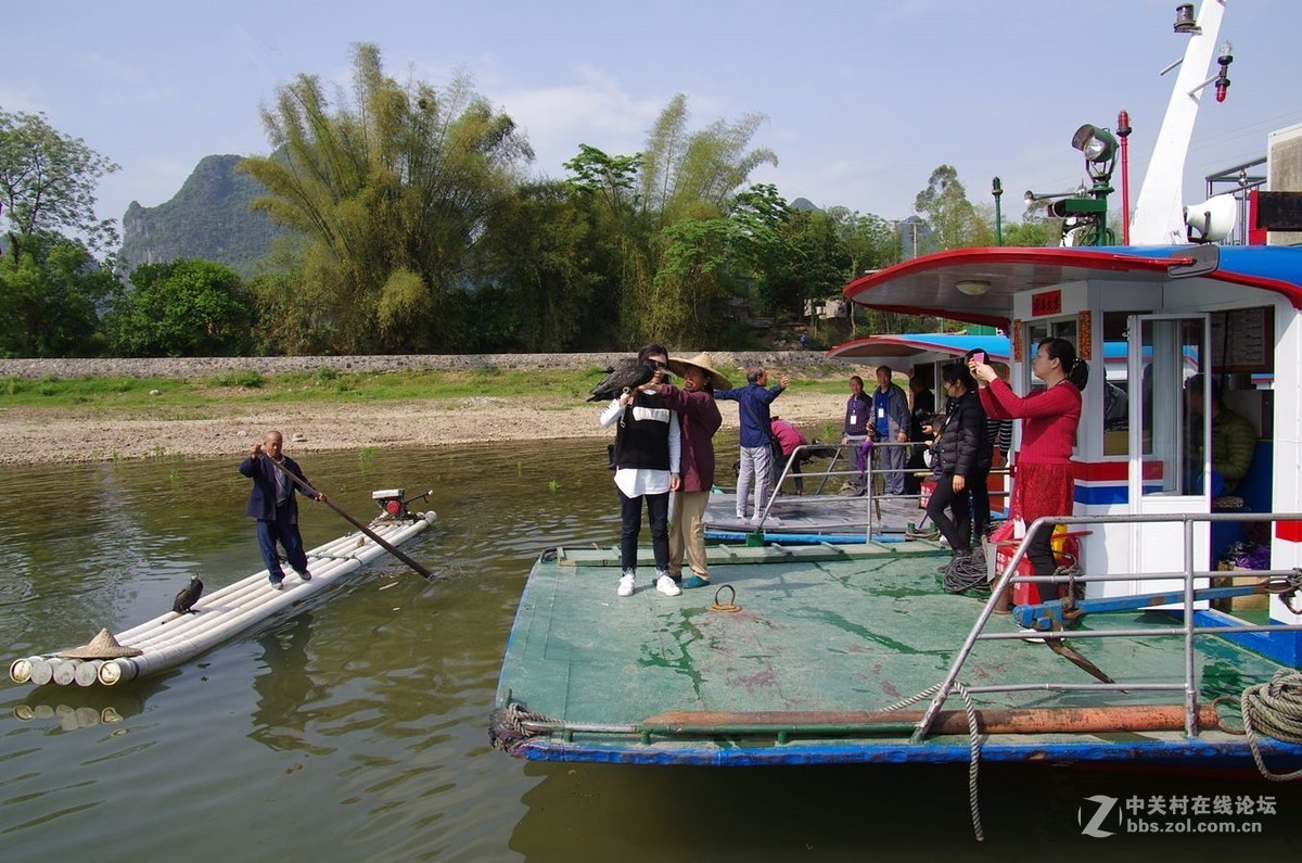 『被套住嘴绑住腿的鱼鹰』123...15P