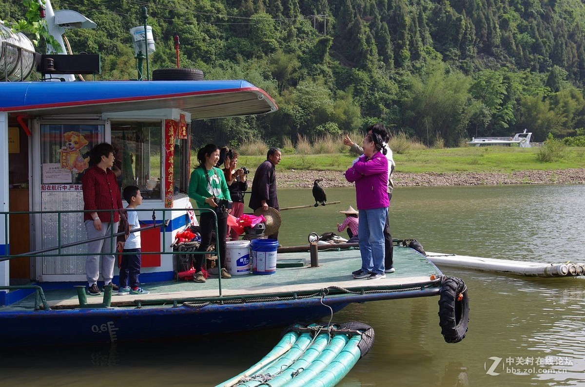 『被套住嘴绑住腿的鱼鹰』123...15P