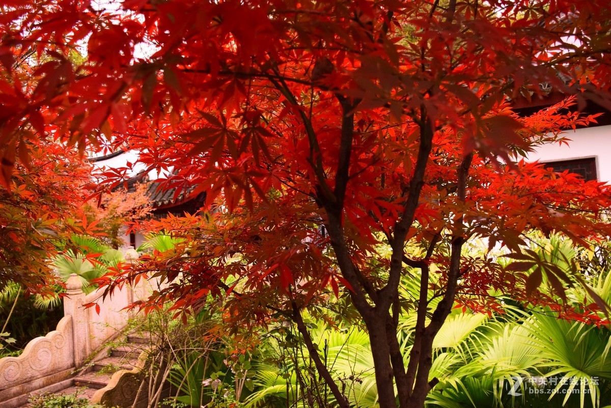 刚学两天公园随拍！