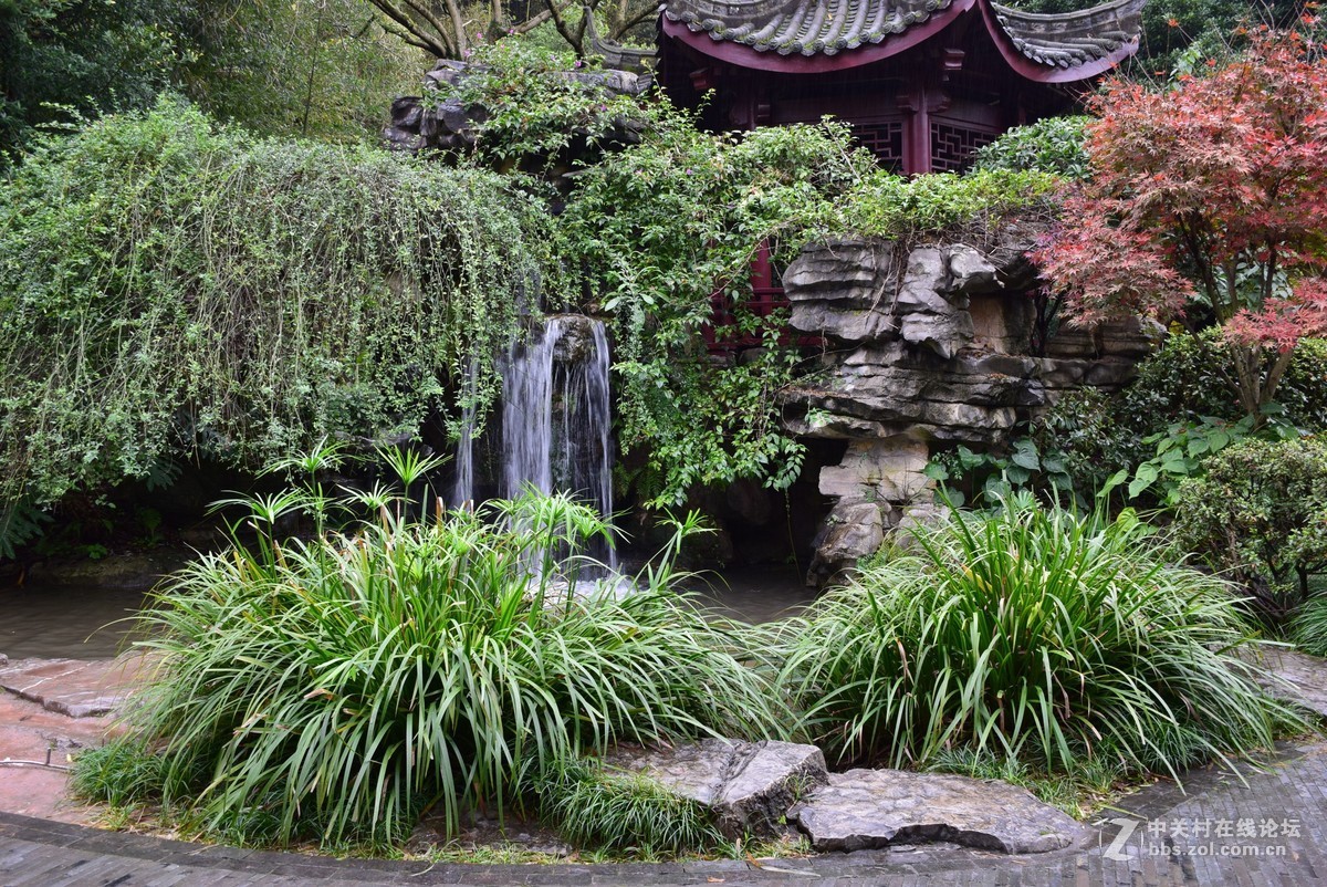 刚学两天公园随拍！