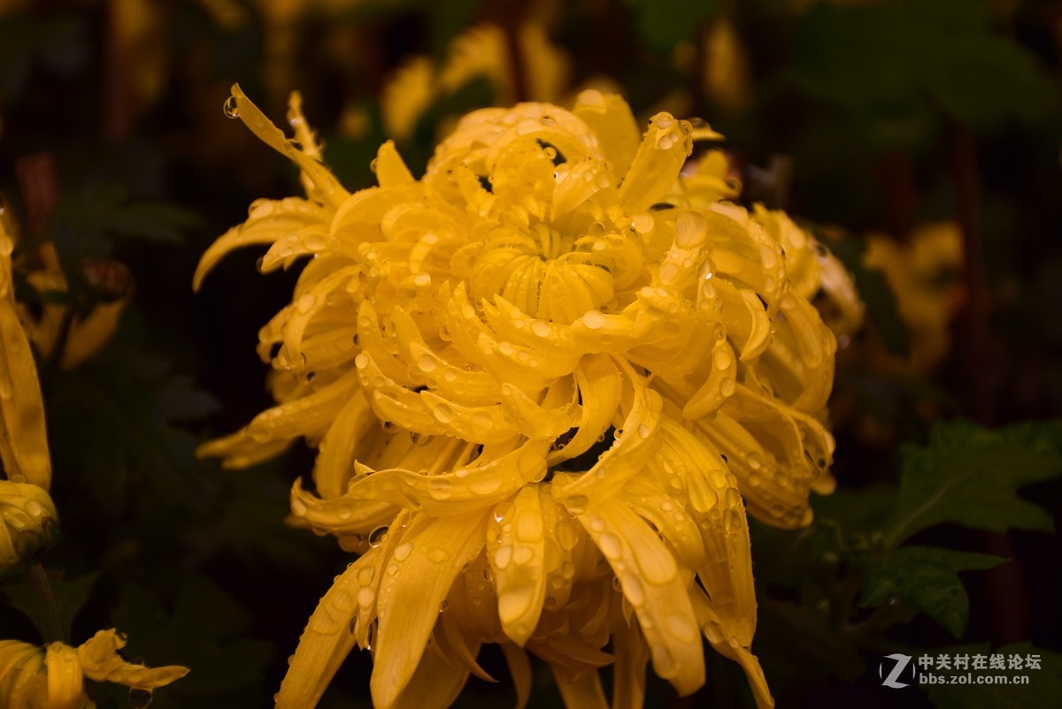 刚学两天公园随拍！