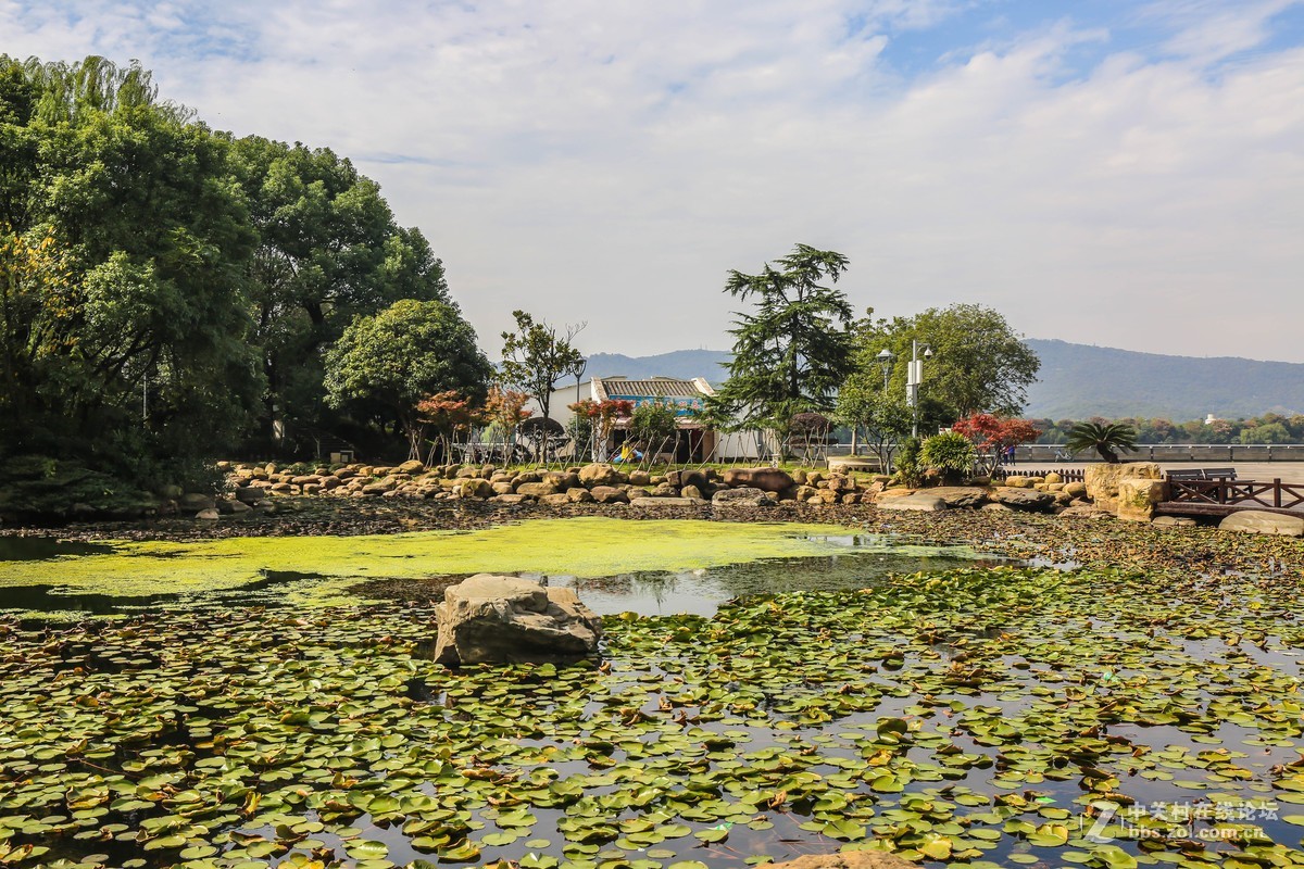 #佳能迷你单反EOS 200D 看见南腔北调#----风光无限之湘江