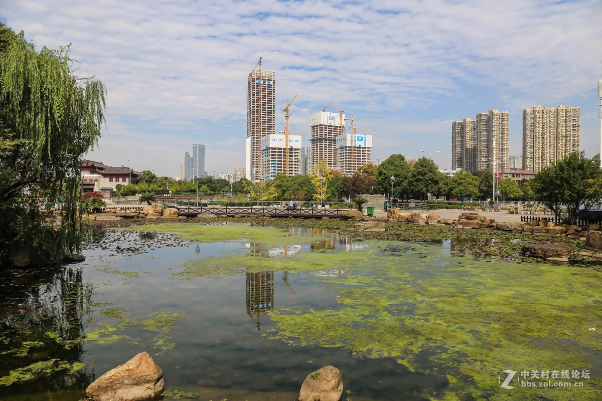 #佳能迷你单反EOS 200D 看见南腔北调#----风光无限之湘江