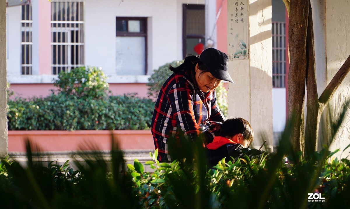 #回顾2019#平平淡淡过一年