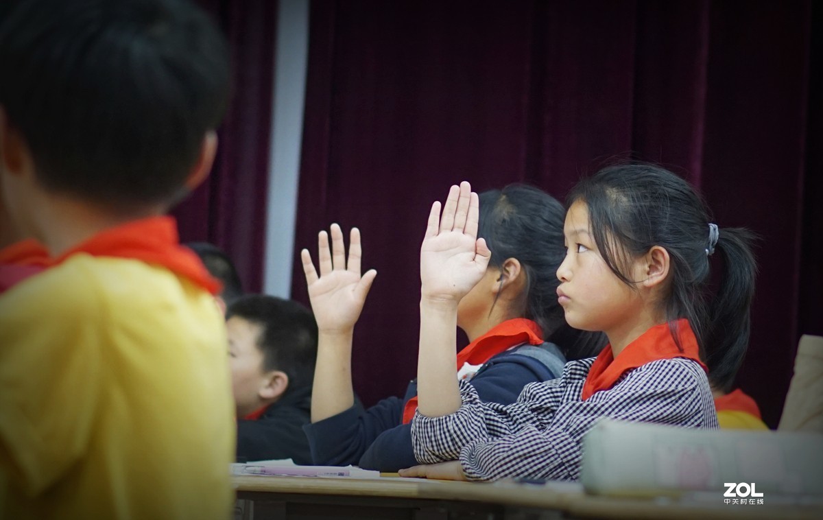 #回顾2019#平平淡淡过一年