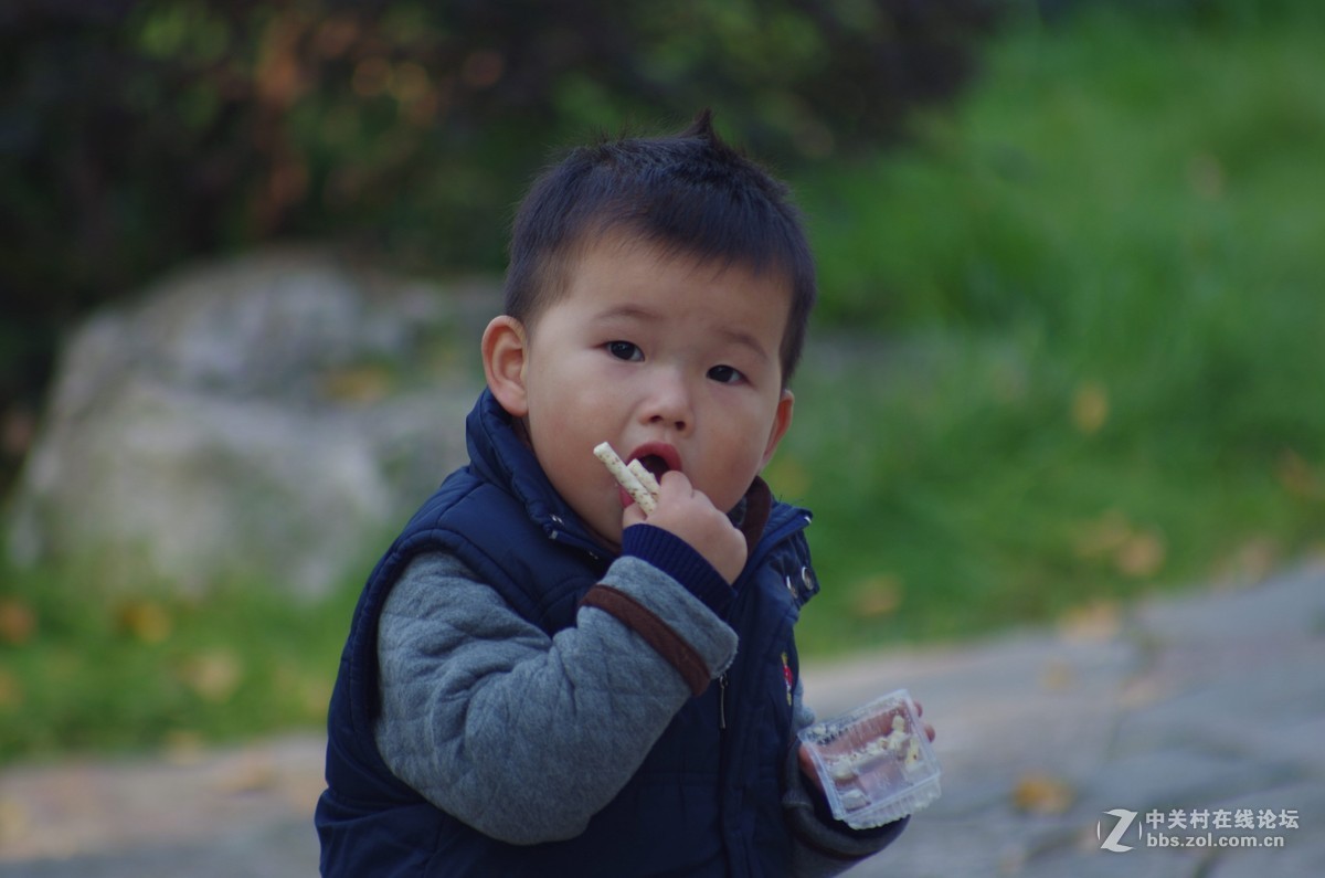 有40年历史，宾得老镜头拍摄，的照片，