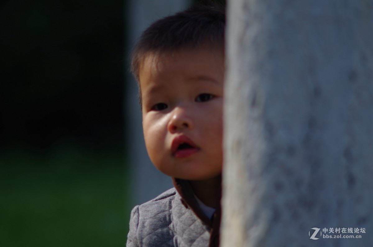 有40年历史，宾得老镜头拍摄，的照片，