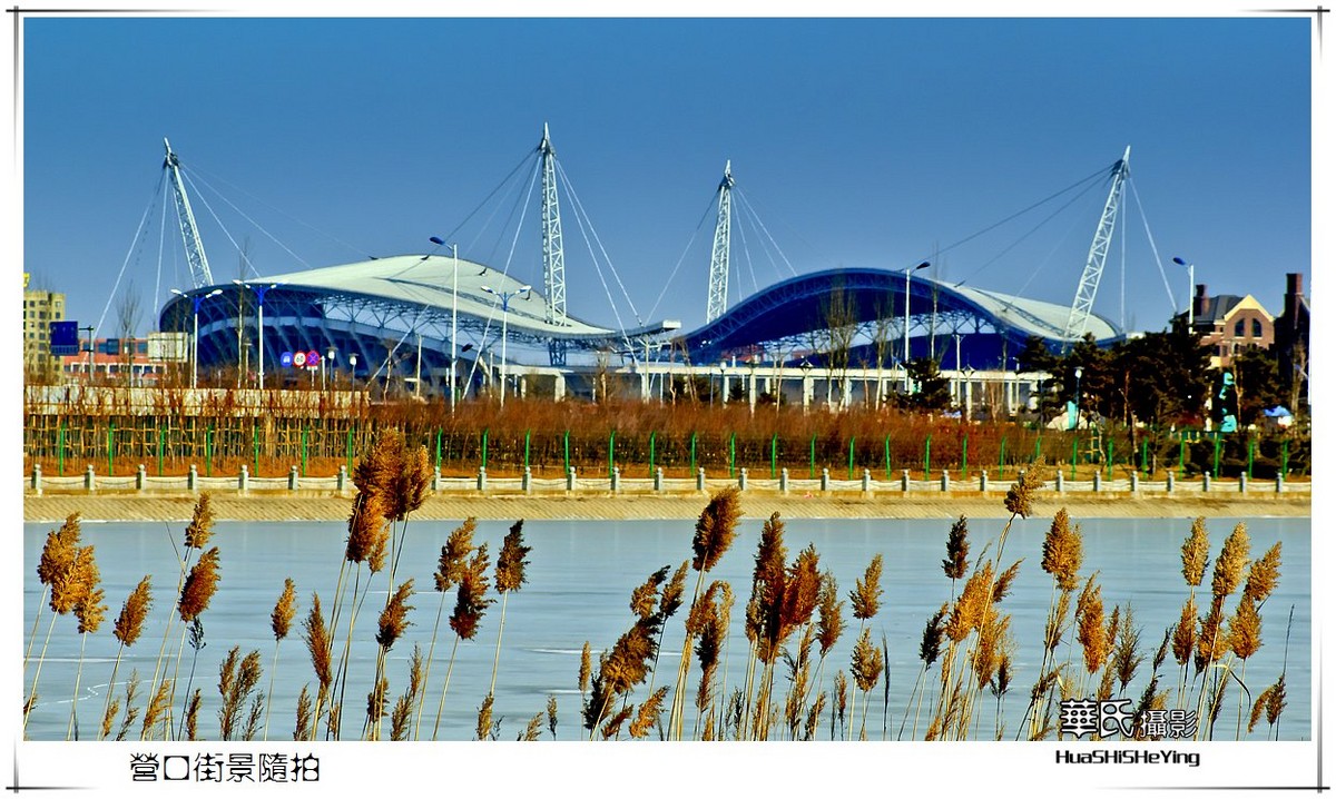 美色辽宁——营口街景随拍(奥体附近)-中关村在线摄影论坛