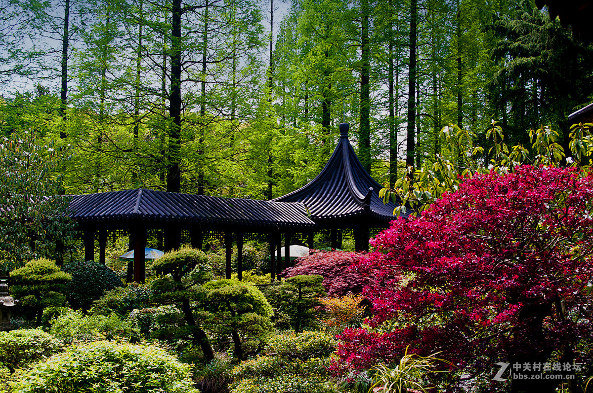 植物园里的兰园