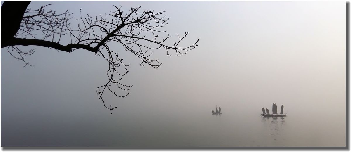 水岸闲游景怡人