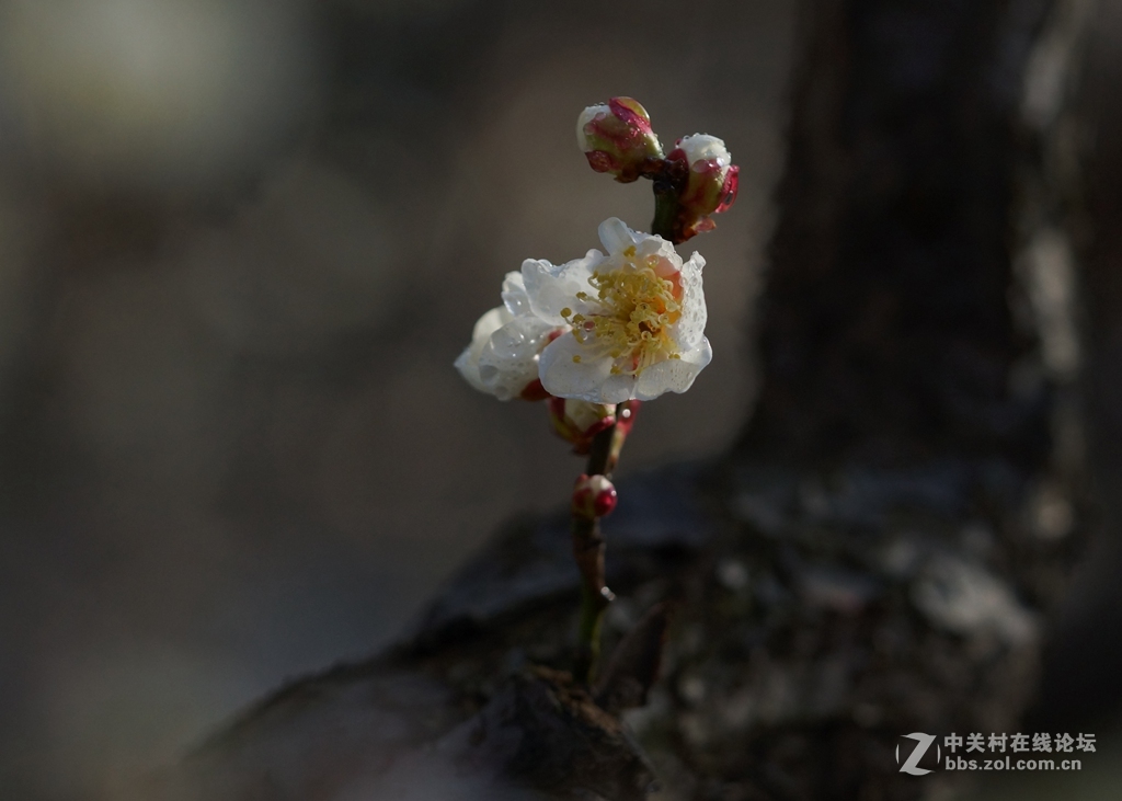 选择轮廓光线能让照片更好看、、、
