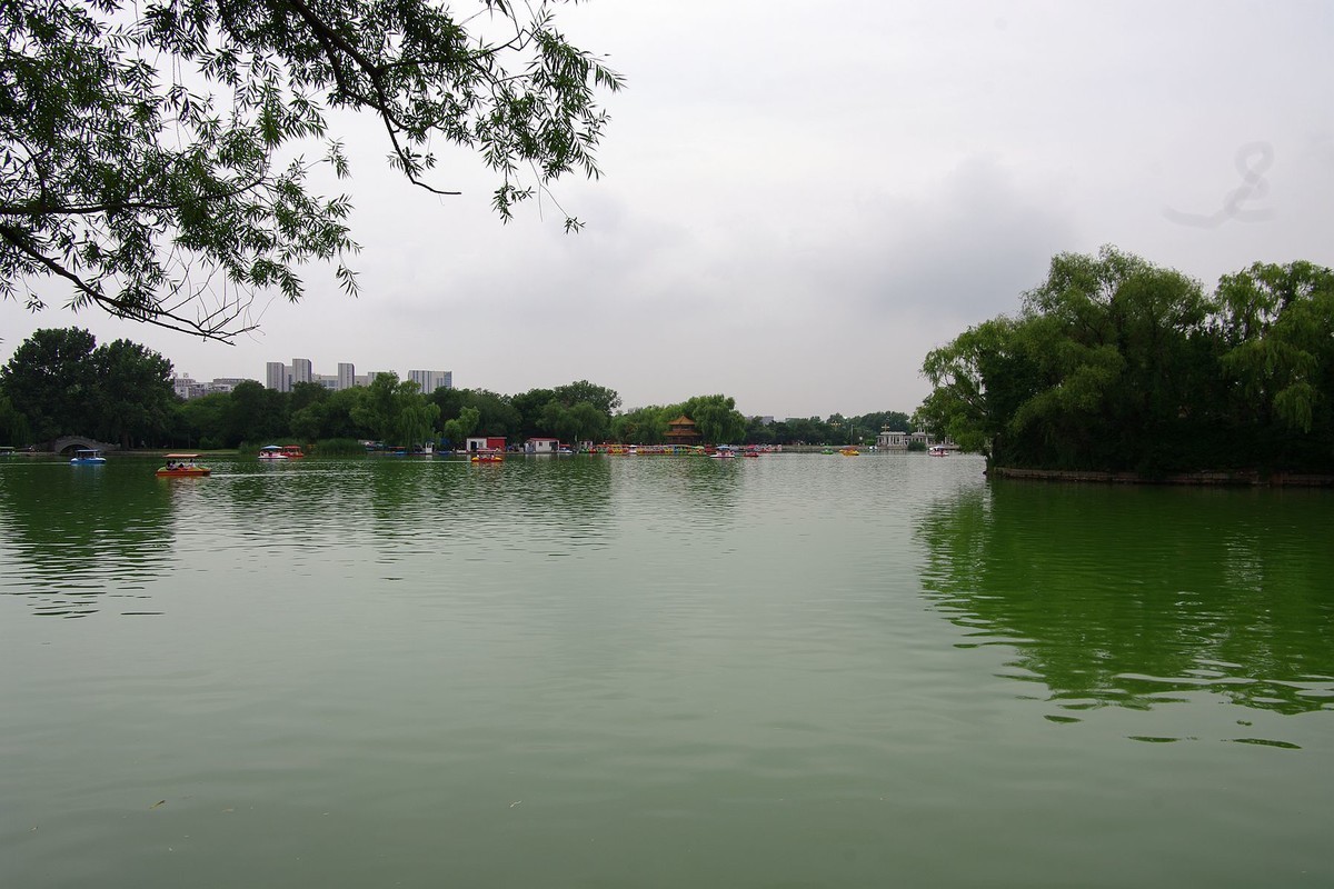 库存片——2016年沈阳北陵公园的影像记录（DA16  45试镜片 ）